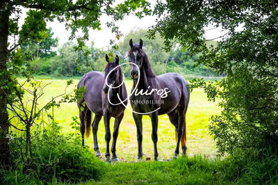 Maison - 160 m² - 5 pièces