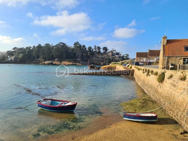 Studio - 26 m² - 3 pièces