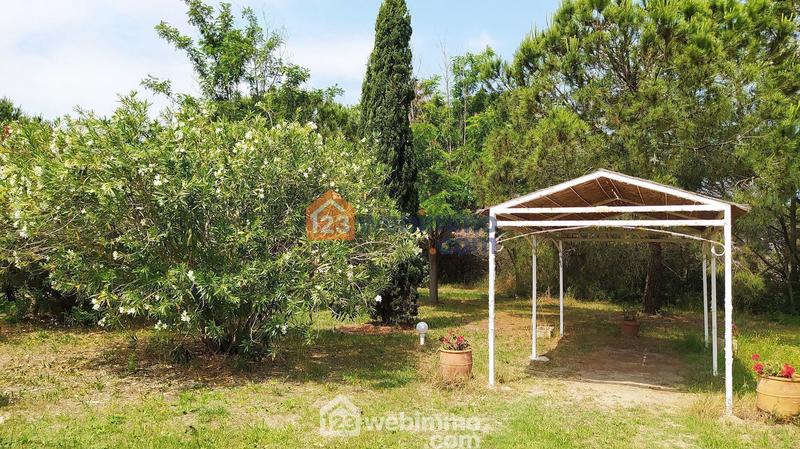 Maison - 320 m² - 10 pièces