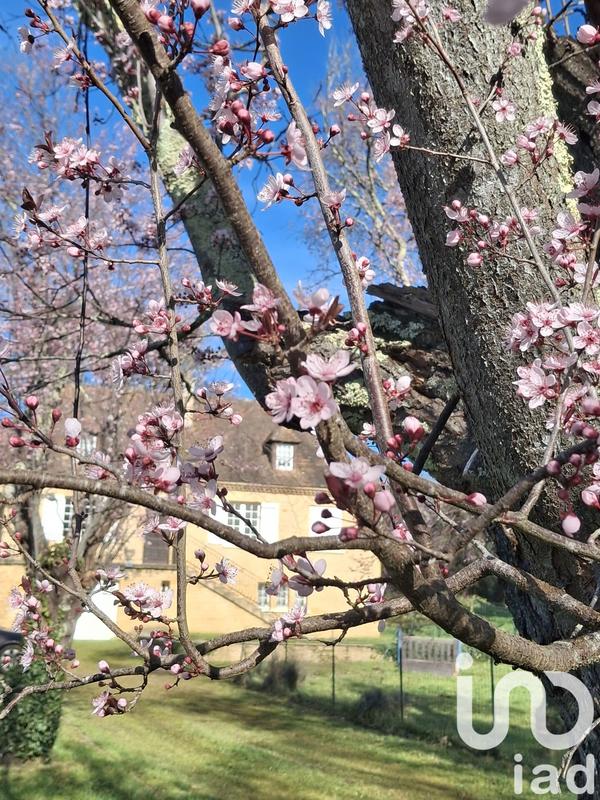 Maison - 186 m² - 6 pièces