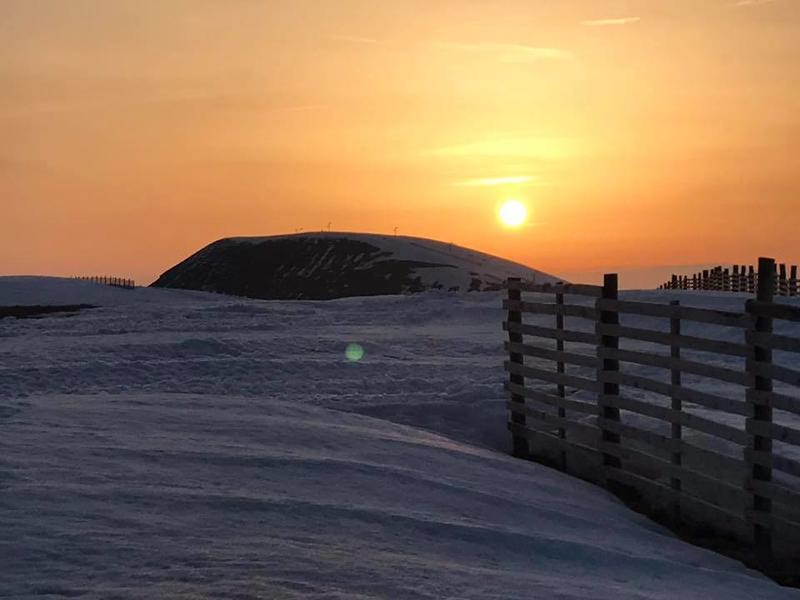 Appartement - 31 m² - 2 pièces