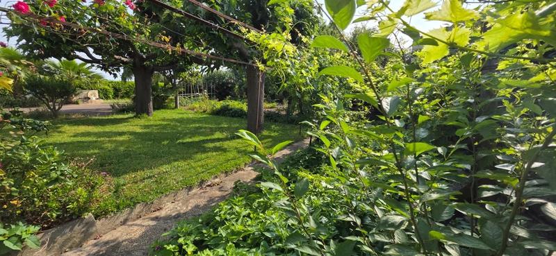 Maison - 55 m² - 3 pièces