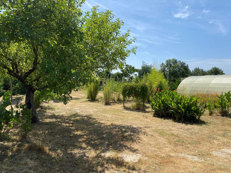 Maison - 103 m² - 4 pièces