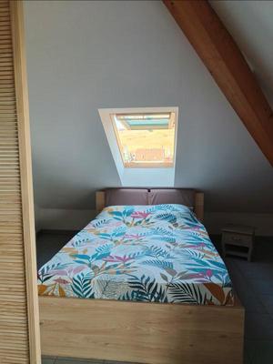 Studio - 38 m² - 1 pièce