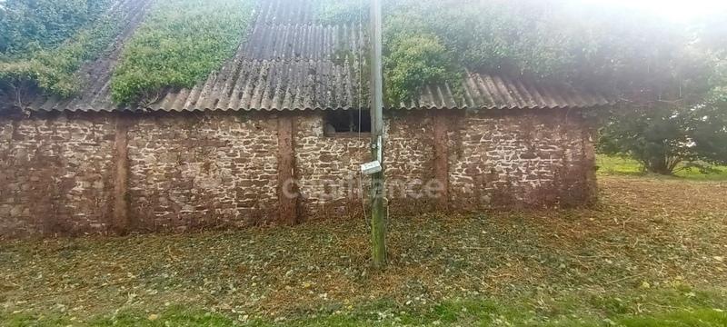 Grange - 60 m² - 1 pièce