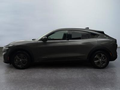 Ford Mustang Mach-E Standard Range 76 kWh 269 ch