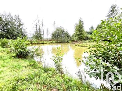 Terrain - 17 696 m²