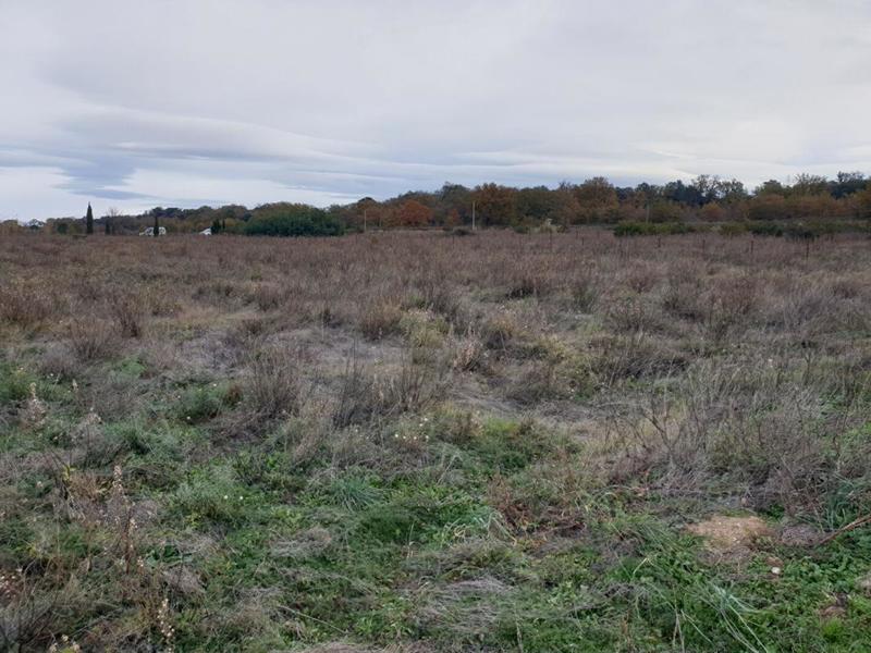 Terrain de loisirs - 4 530 m²