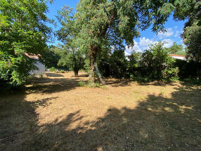 Terrain - 493 m²