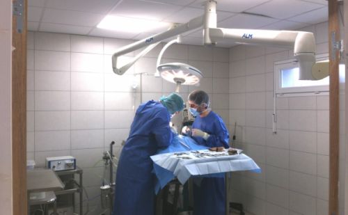 Clinique vétérinaire du Cèdre