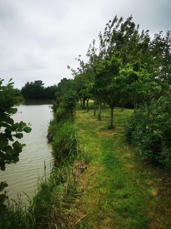 Terrain de loisirs - 9 295 m²