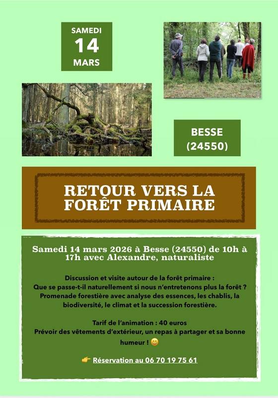 Retour vers la forêt primaire
