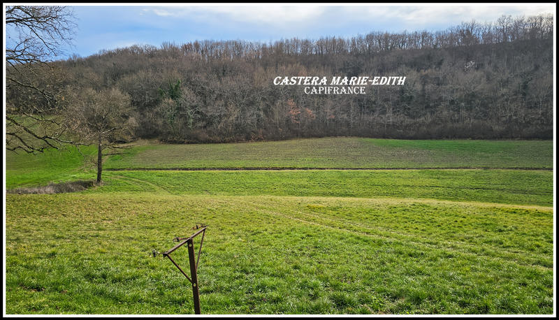 Maison - 194 m² - 7 pièces