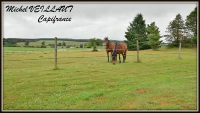 Propriété - 160 m² - 7 pièces