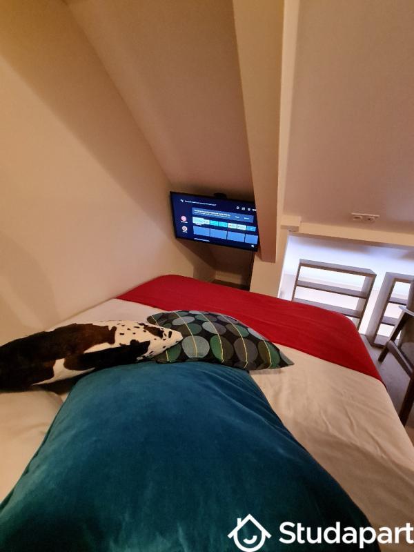 Appartement - 25 m² - 2 pièces