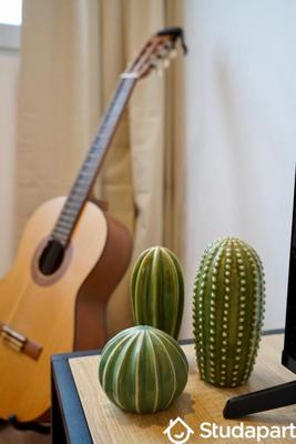 Chambre - 11 m² - 1 pièce