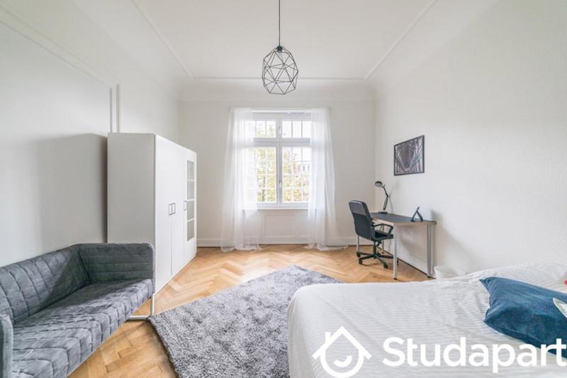 Chambre - 20 m² - 1 pièce