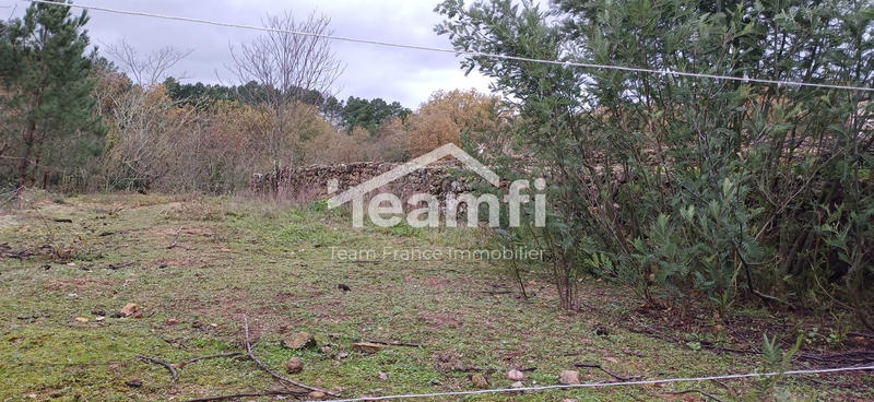 Terrain agricole - 14 279 m²