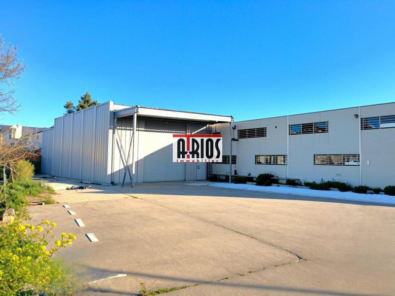 Local d'activité / Entrepôt - 1 915 m²