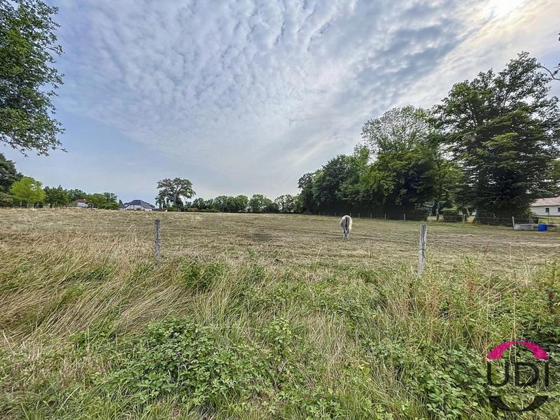 Terrain constructible - 6 597 m²