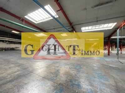 Entrepôt - 5 600 m²