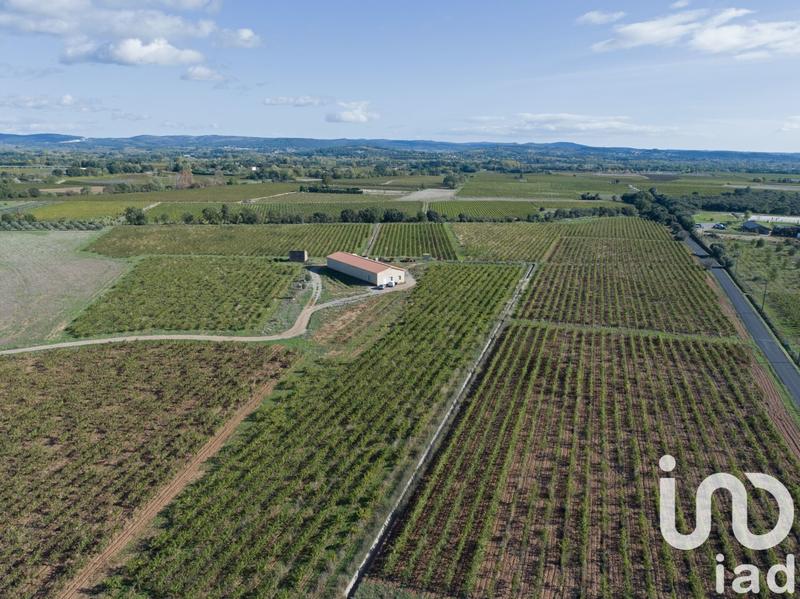 Terrain agricole - 93 829 m²