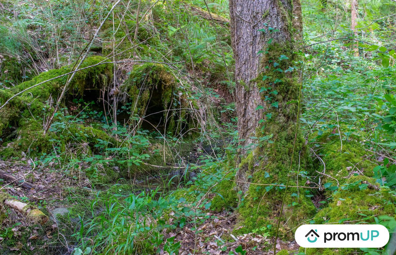 Terrain de loisirs - 5 300 m²