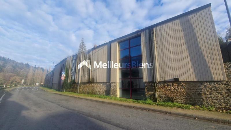 Local d'activité / Entrepôt - 1 273 m² - 6 pièces