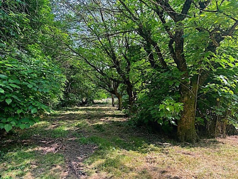 Maison - 107 m² - 6 pièces