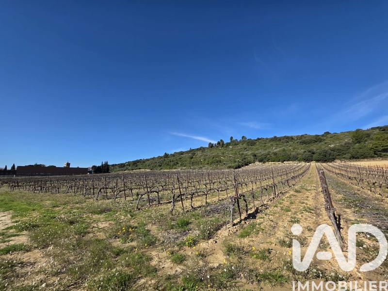 Terrain agricole - 10 170 m²