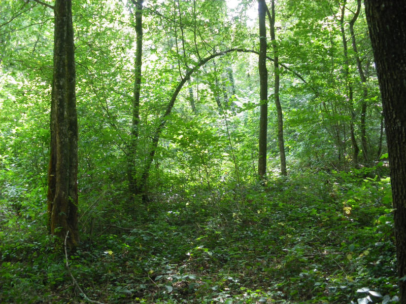 Terrain - 23 443 m²