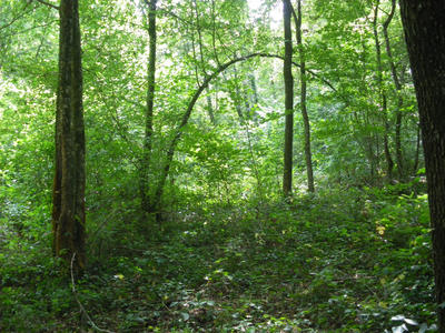 Terrain - 23 443 m²