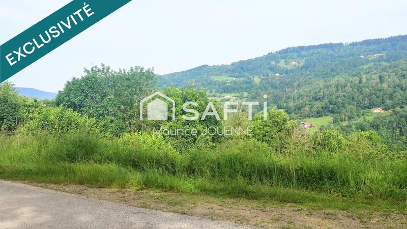 Terrain - 3 123 m²