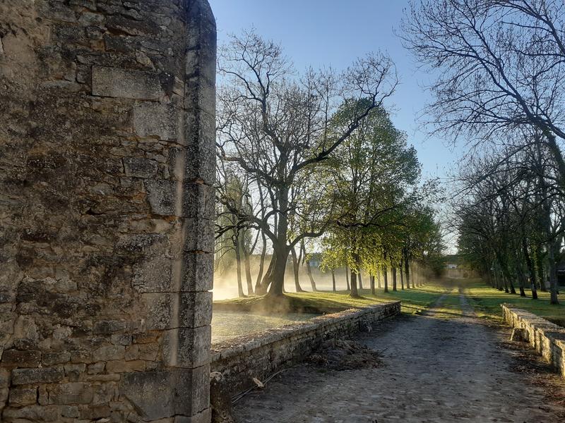 Rendez-vous aux jardins