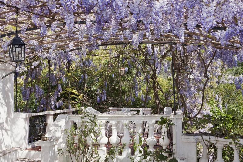 Propriété - 600 m² - 14 pièces