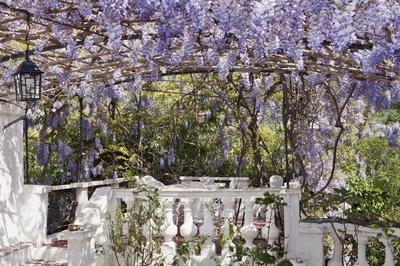 Propriété - 600 m² - 14 pièces