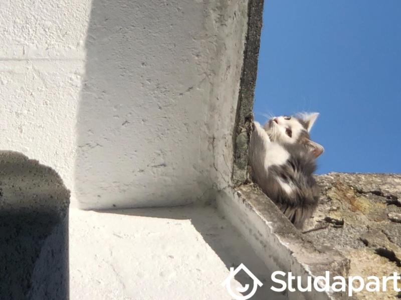 Chambre - 17 m² - 1 pièce