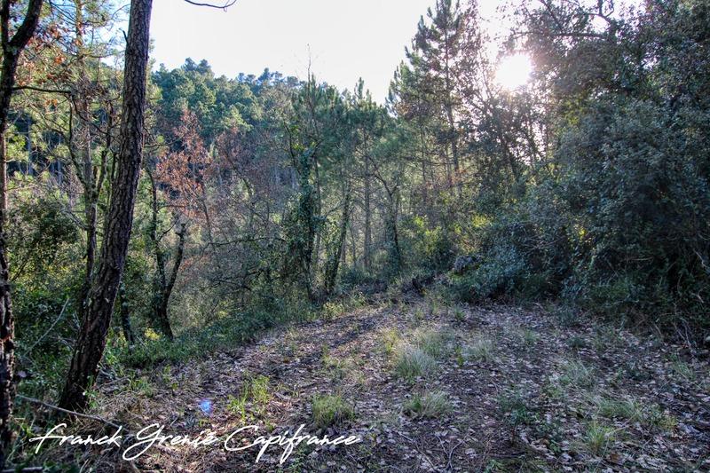 Terrain - 55 050 m²