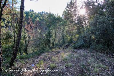 Terrain - 55 050 m²