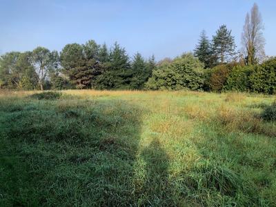 Terrain - 790 m²