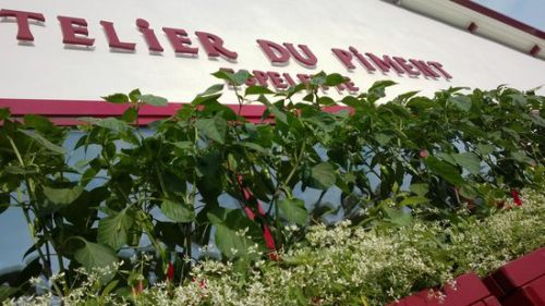 Atelier du Piment d'Espelette