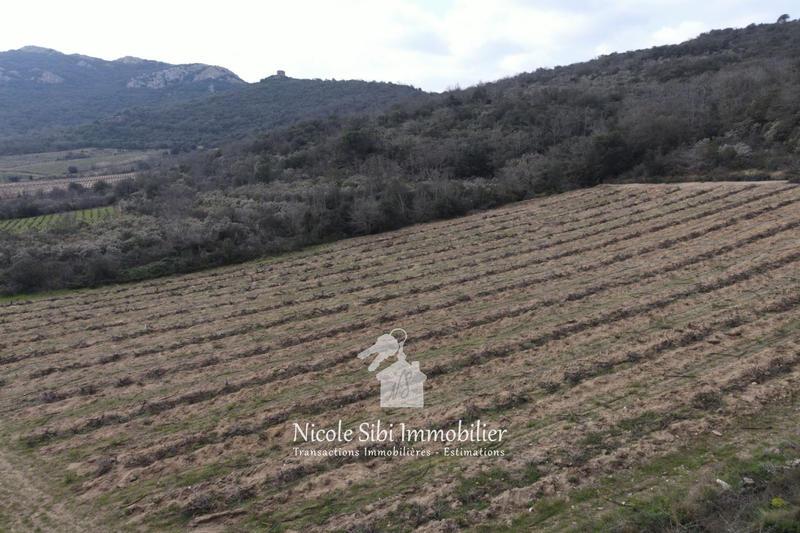 Terrain agricole - 7 897 m²