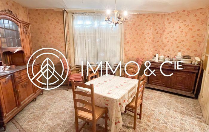 Maison bourgeoise - 350 m² - 6 pièces