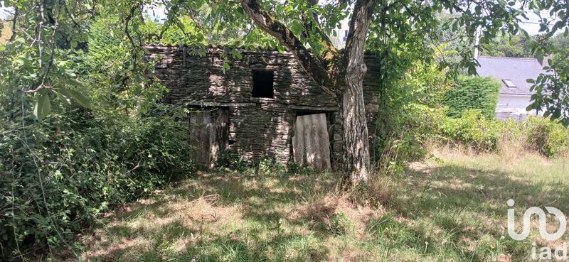 Maison de campagne - 90 m² - 3 pièces