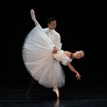 Etoiles de la Danse - l'Opéra National Capitole Toulouse