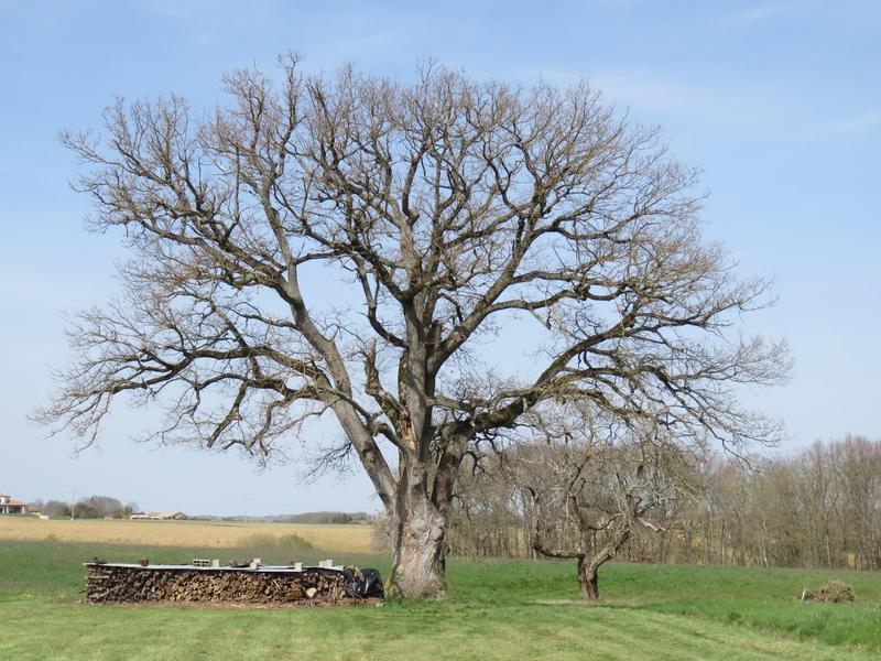 Maison ancienne - 128 m² - 4 pièces