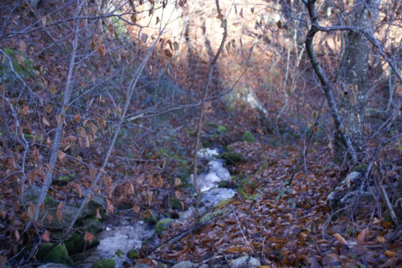 Maison - 110 m² - 3 pièces