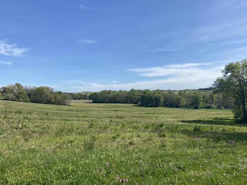 Propriété - 260 m² - 11 pièces