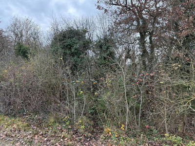 Terrain de loisirs - 1 682 m²