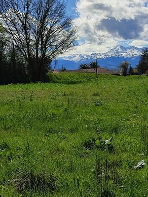 Terrain constructible - 1 427 m²